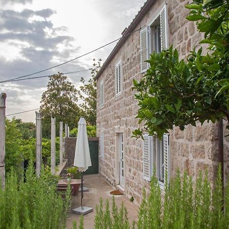 Apartments Maro & Baro Dubrovnik Cameră foto